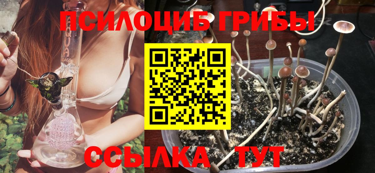 Минусинск  Галлюциногенные грибы Cubensis  Вход с VPN  Псилоцибиновые грибы GOLDEN TEACHER 